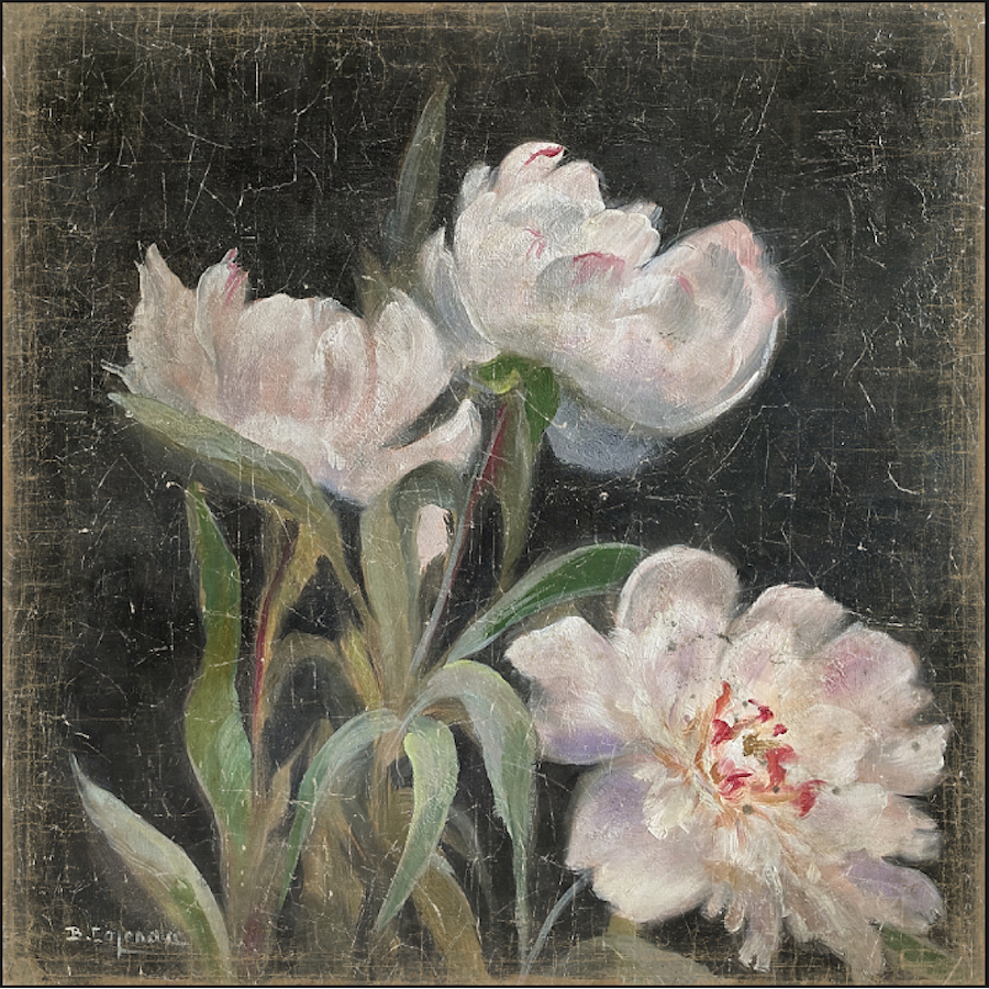 PIVOINES (120x120cm)